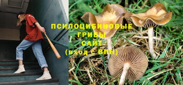 таблы Заволжск