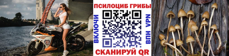 Галлюциногенные грибы мухоморы  Купить закладки  Баксан 